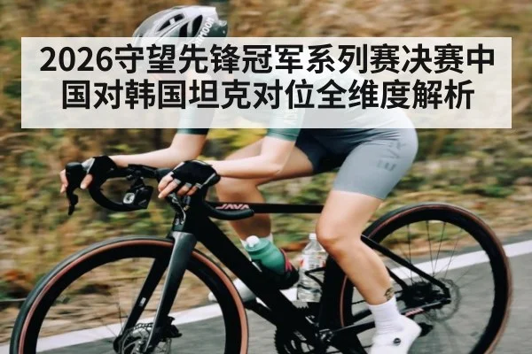 2026守望先锋冠军系列赛决赛中国对韩国坦克对位全维度解析